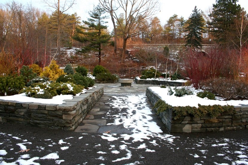 Jardín en invierno