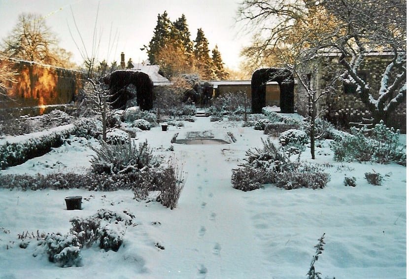 Jardín en invierno