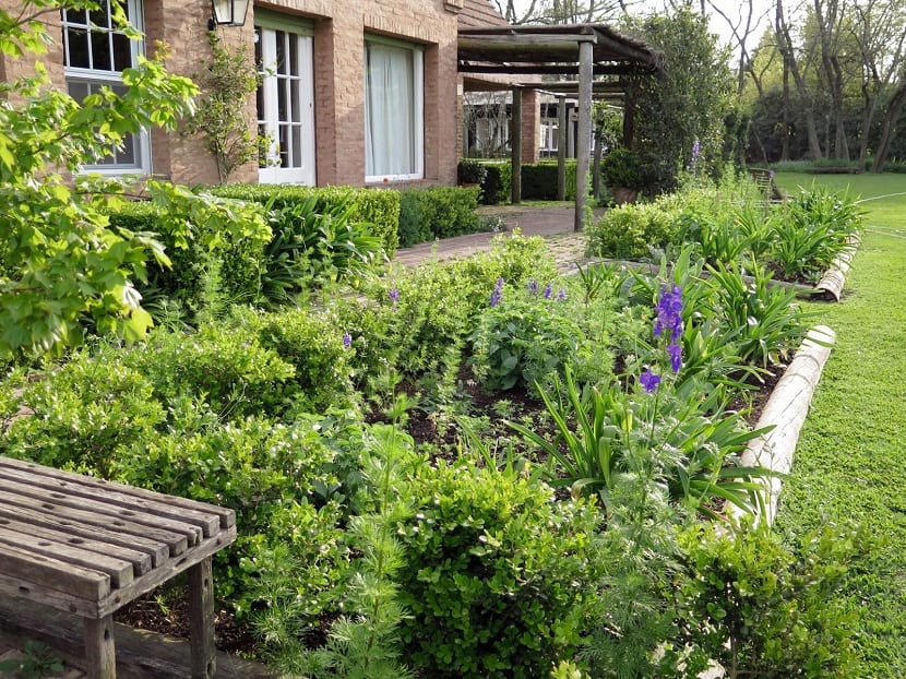La primavera en el jardín: ventajas, problemas y tareas