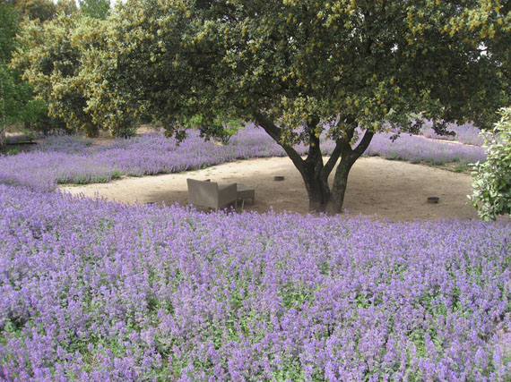 Diseñar un jardín arraigado en su paisaje