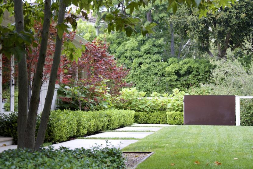 Cómo ganar privacidad en el jardín: cuatro estrategias