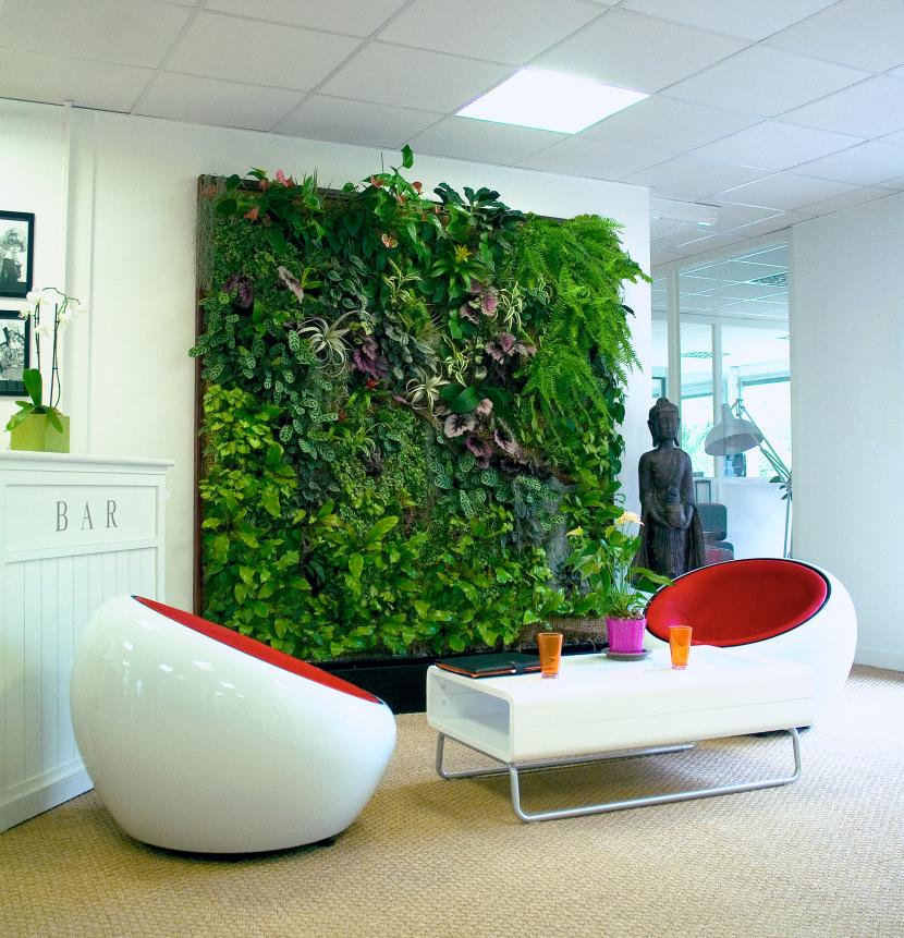 Cómo cuidar un jardín vertical para que dure más de dos años