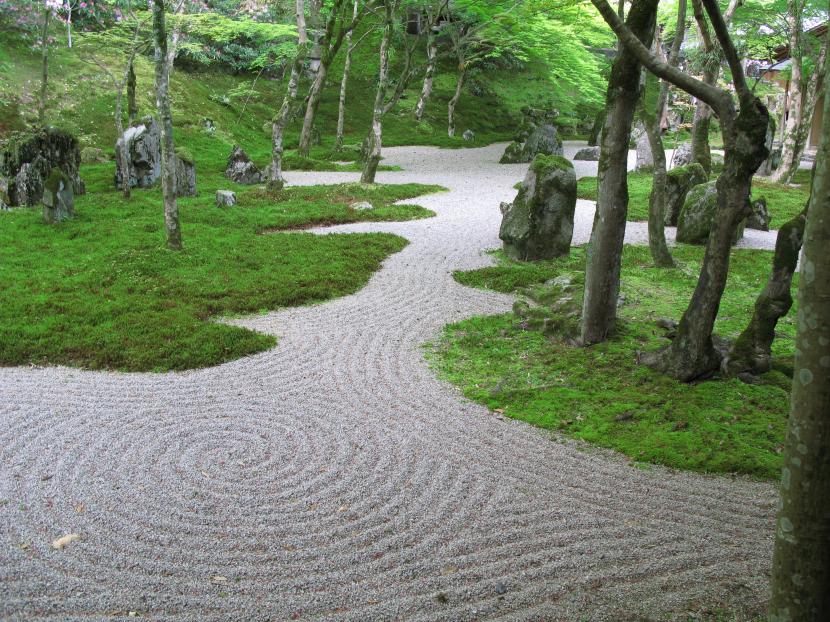 Camino en jardín
