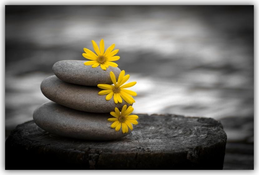 Piedras primaverales
