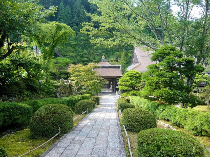Precioso jardín japonés