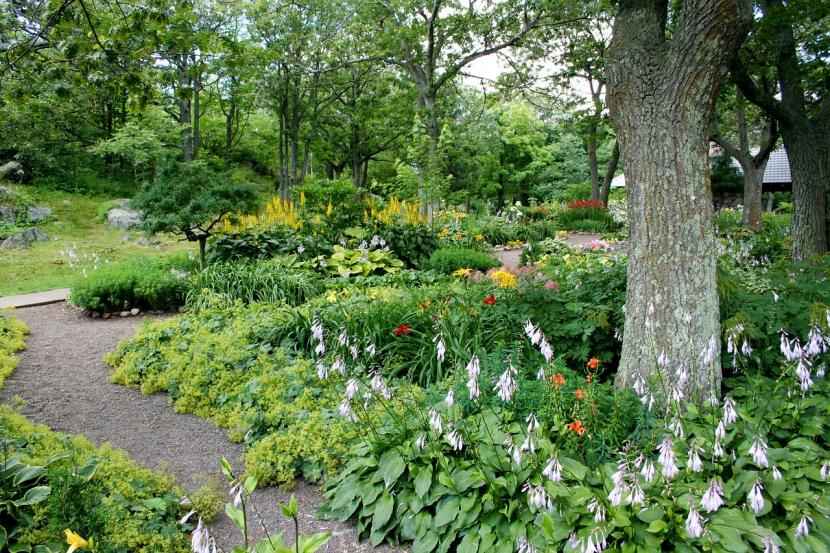 Cómo tener un jardín exuberante y frondoso todo el año