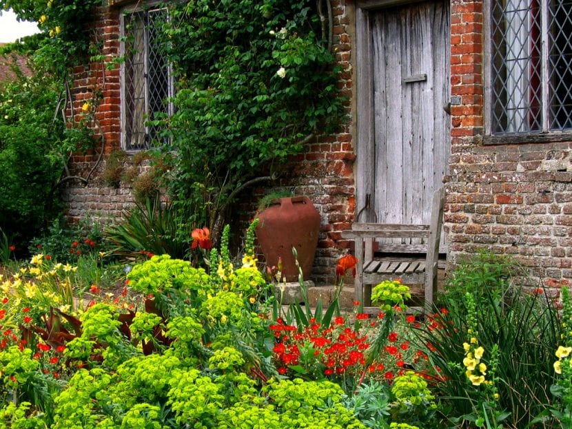 Vista de las plantas de un jardín cottage inglés