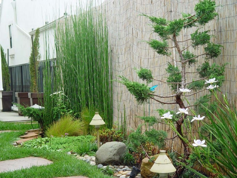 Jardín zen 