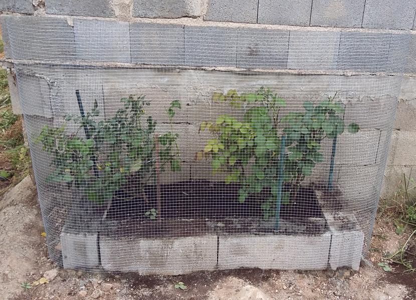 Tela metálica en jardinera