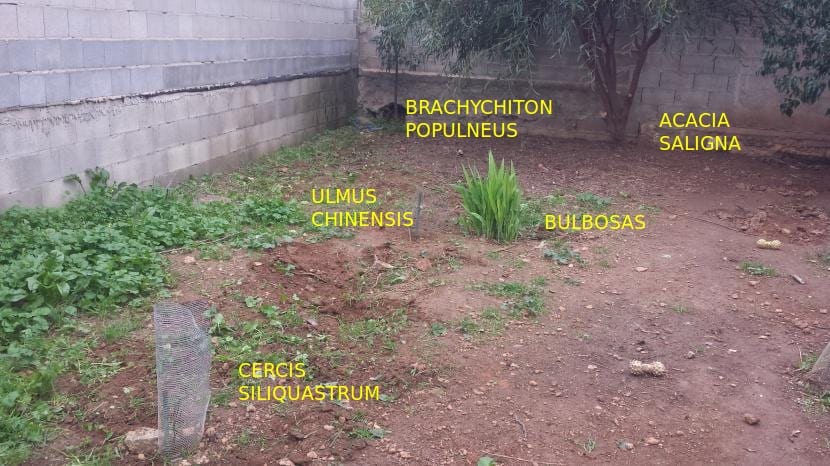 Zona