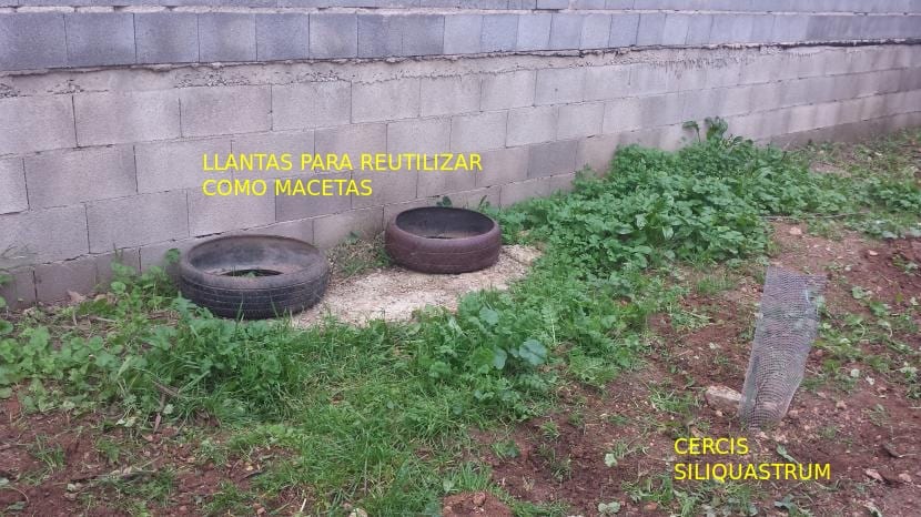 Zona pared