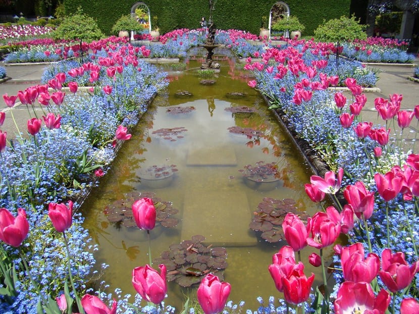 Jardín Butchart