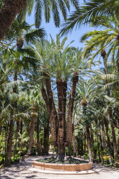 La Palmera Imperial es única