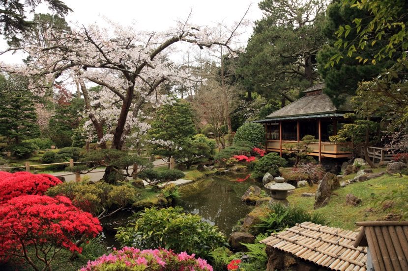 Jardín decorado al estilo oriental