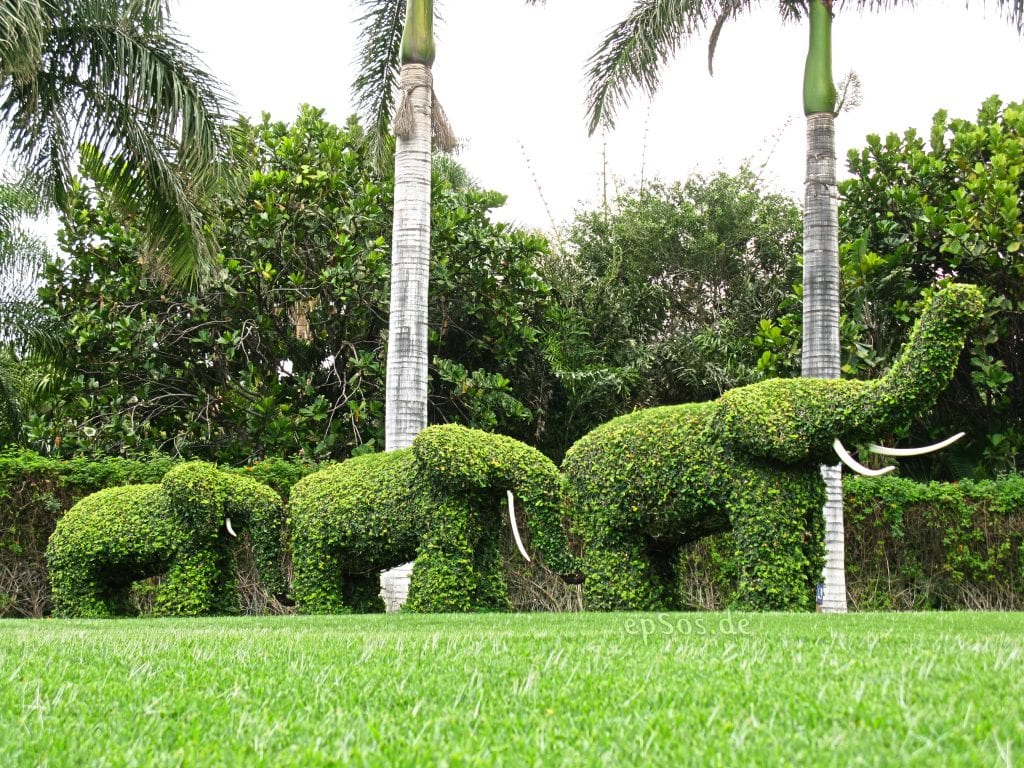 topiaria