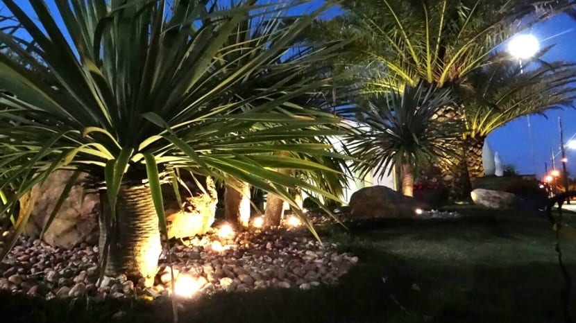 El contraste de las luces, las sombras y también los colores