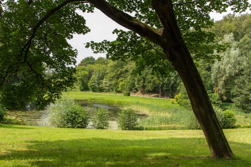 Un jardín botánico es un lugar lleno de plantas