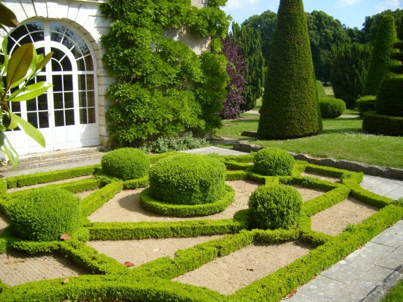 Vistas de las plantas de un jardín francés