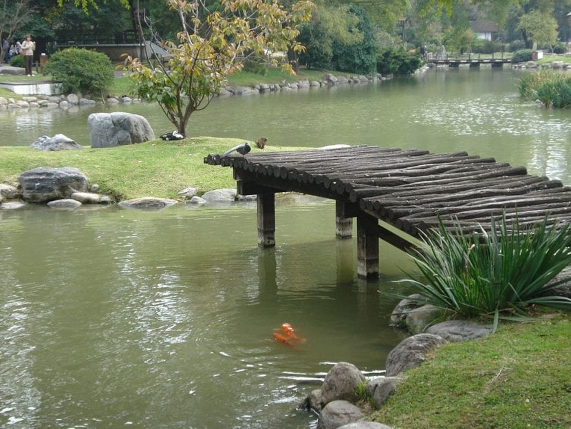 Estanque del Jardín Japonés de Buenos aires