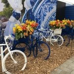 Plantas bulbosas en bicicletas