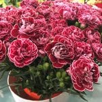 Flores de claveles en un centro