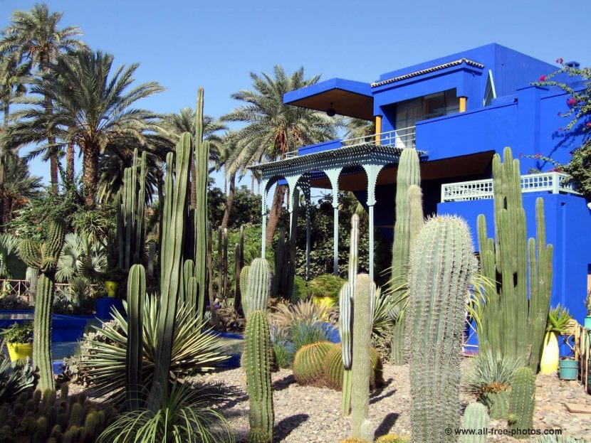 Sección de cactus del Jardín Majorelle