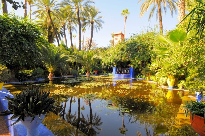 Precioso estanque del Jardín Majorelle