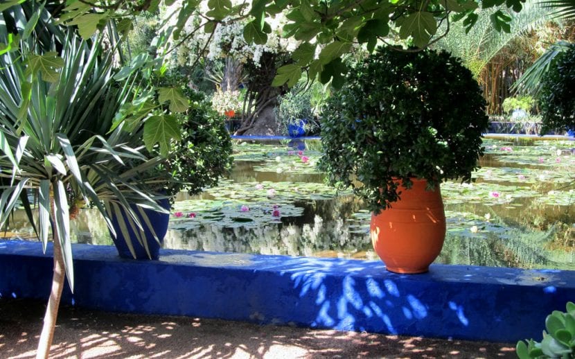 Un rincón idílico del Jardín Majorelle