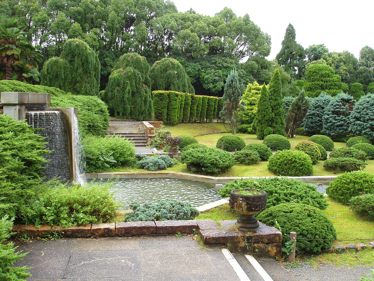 Vista de un jardín con poco mantenimiento