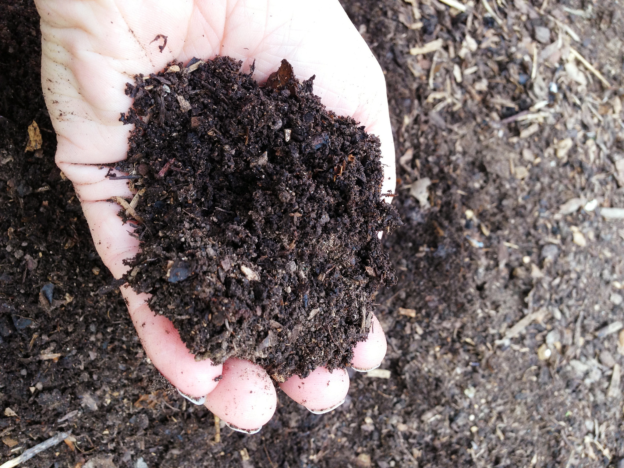 Vista de compost