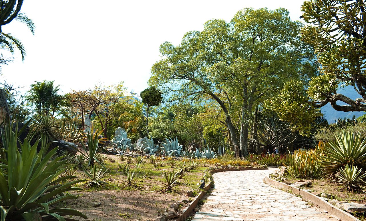 Un xerojardín es un jardín de bajo mantenimiento