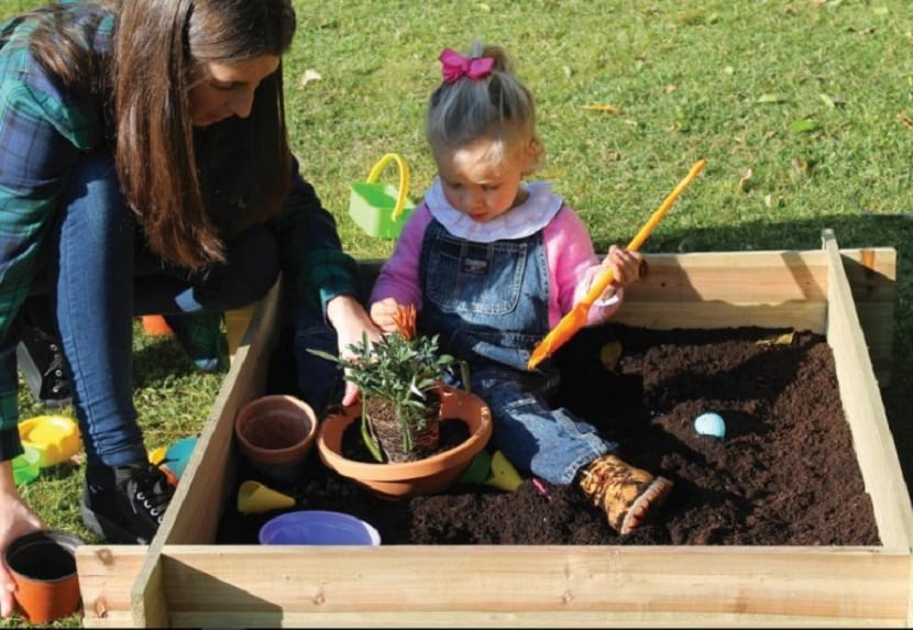 Mini jardín para niños: montaje, plantas y seguridad