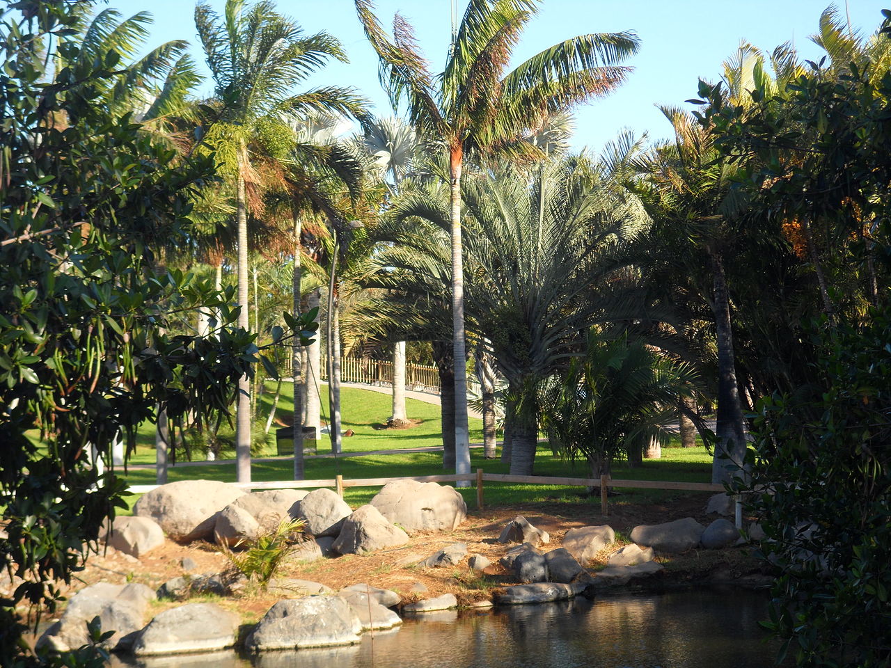 Rincón del Palmetum de Tenerife