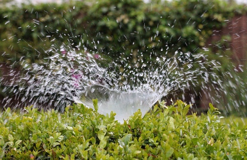 el riego automático es la mejor manera de suministrar agua a todo el jardín.