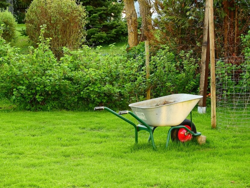 Un jardín siempre es motivo de alegría, ¿o quizás no?