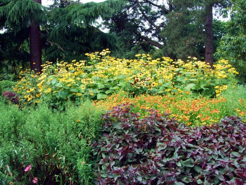 Vista del Jardín de Kew