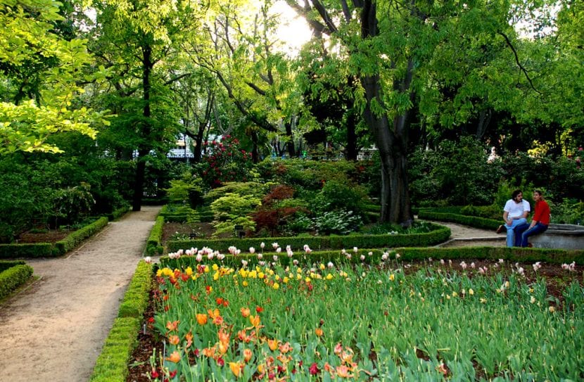 Vista de un área del jardín
