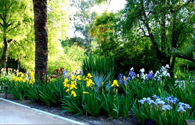 Vista del Real Jardín Botánico de Madrid