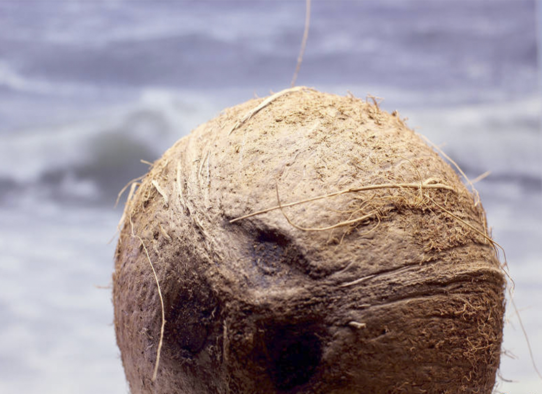 Beneficios del aceite de coco