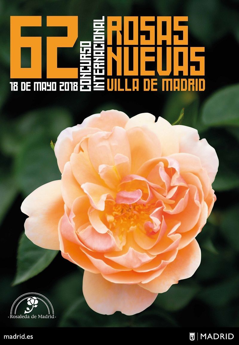 Concurso Internacional de Rosas Nuevas Villa de Madrid, 62 edición. 2018