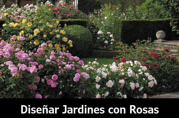 diseñar un jardín con rosales