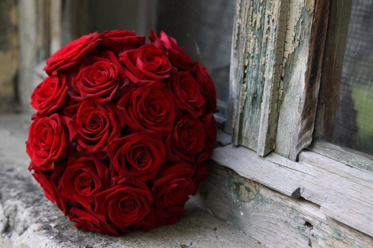 fotos de rosas rojas, bouquet de rosas rojas