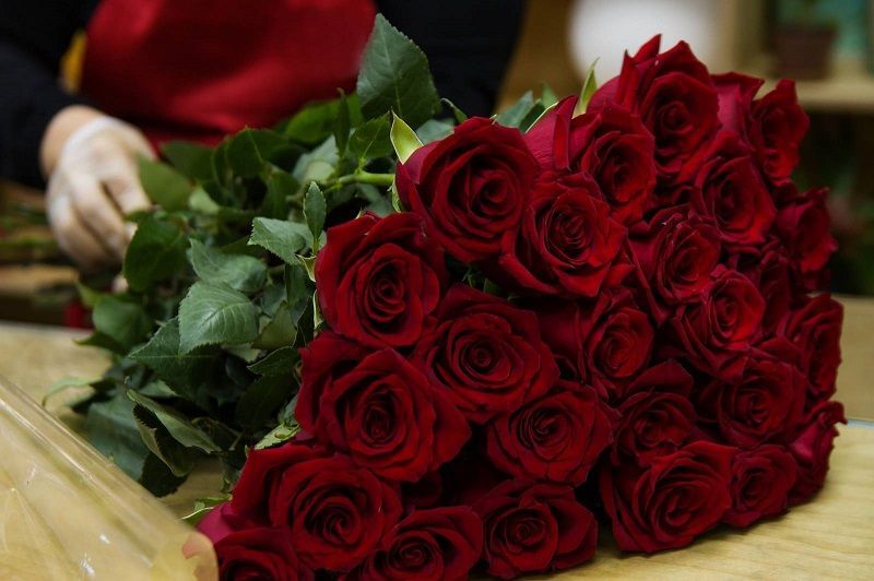 fotos de rosas rojas, confeccionando un ramo de rosas rojas