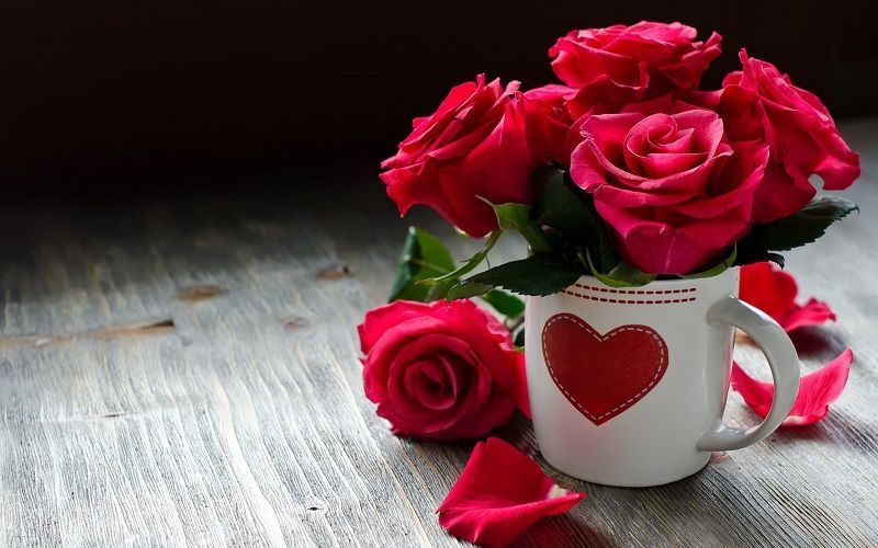fotos de rosas rojas, rosas rojas y taza