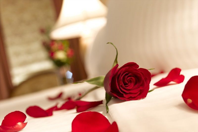 fotos de rosas, rosas rojas sobre cama, fotos románticas
