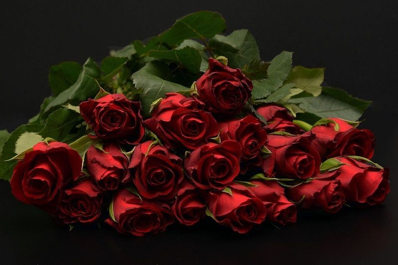 fotos de rosas rojas, ramo de rosas tradicional