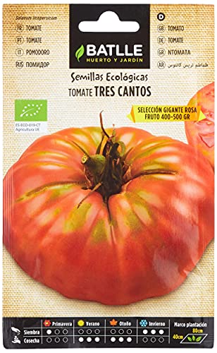 Tomate Tres cantos Gigante Rosa - ECO