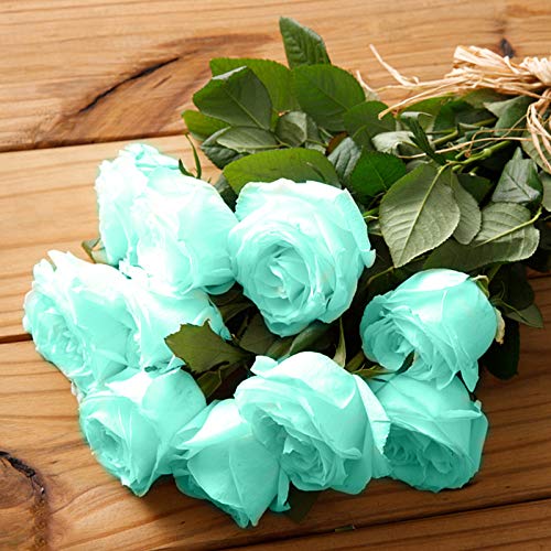 Semillas de rosas azules, 100 piezas / bolsa Semillas de rosas Dulce Fácil de plantar Planta verde perenne Bonsai Semillas de flores de rosas para jardín