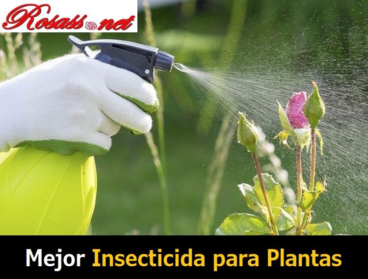 mejor insecticida para plantas