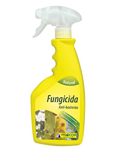 ASOCOA - Fungicida para Plantas. Acción Preventiva y Curativa. Control Oidio y Mildiu.